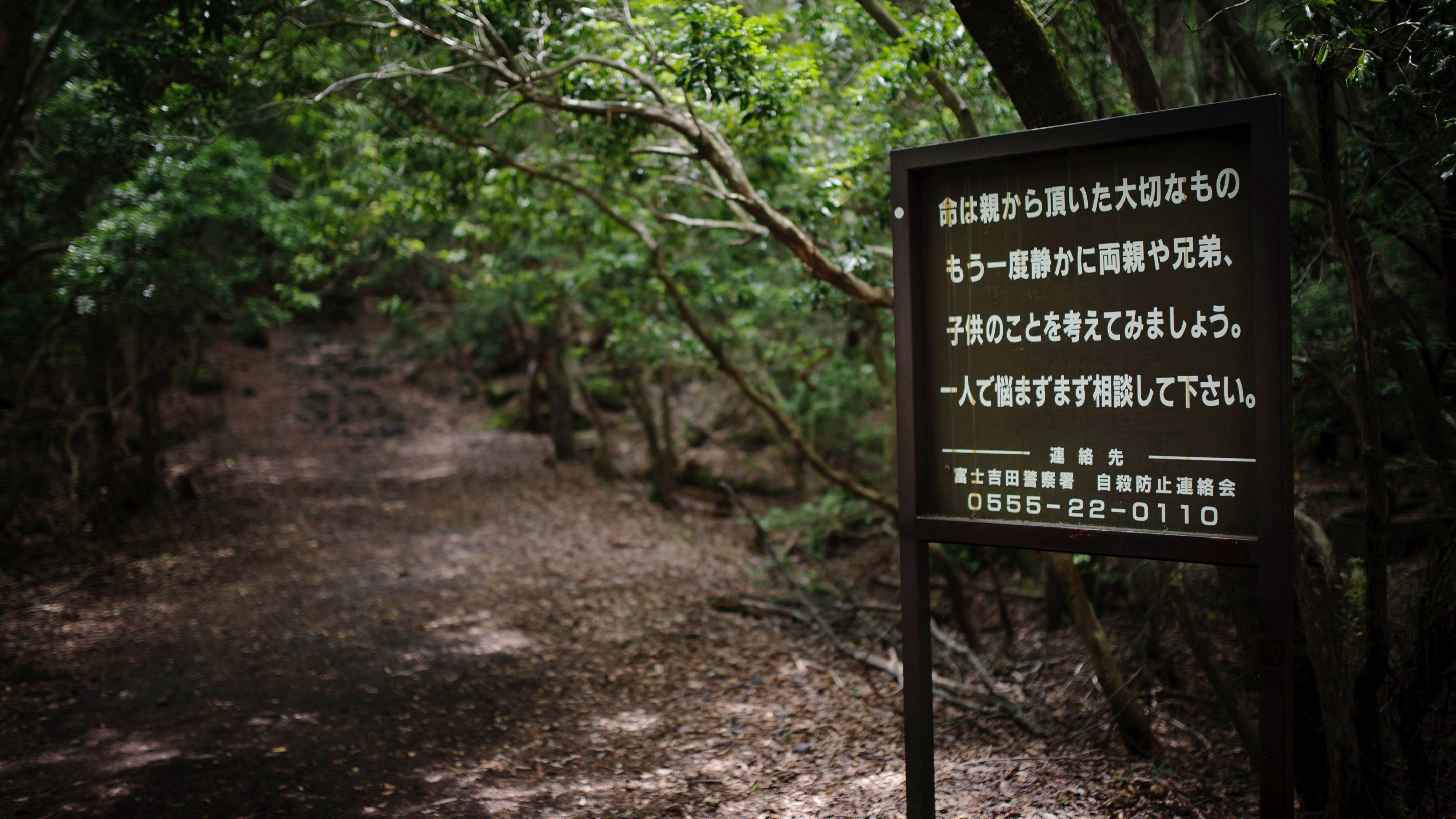 Forest path in Aokigahara with Japanese warning sign